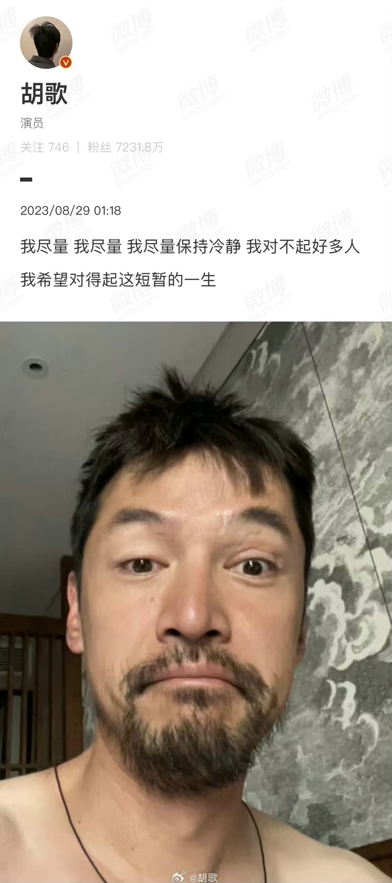 胡歌深夜發微博