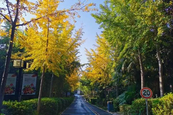 禾泉小鎮(zhèn)兩日游路線應(yīng)該怎么安排 禾泉小鎮(zhèn)兩日游路線應(yīng)該怎么安排