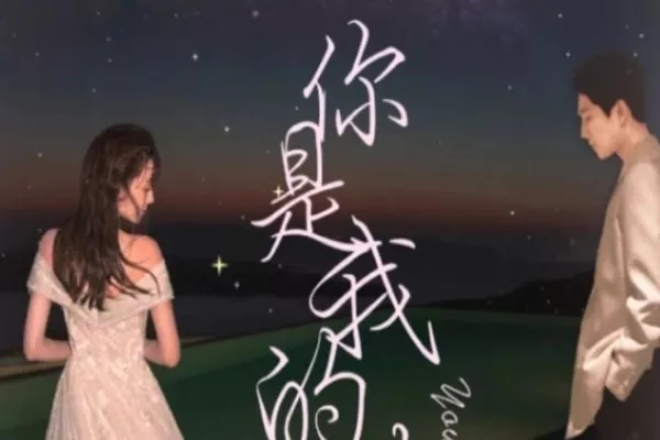 你是我的榮耀簡介 內容介紹(圖1)