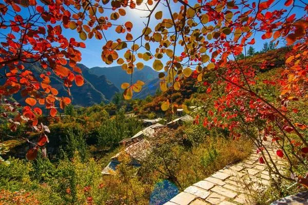 坡峰嶺爬山需要爬多久 坡峰嶺爬山需要爬多久