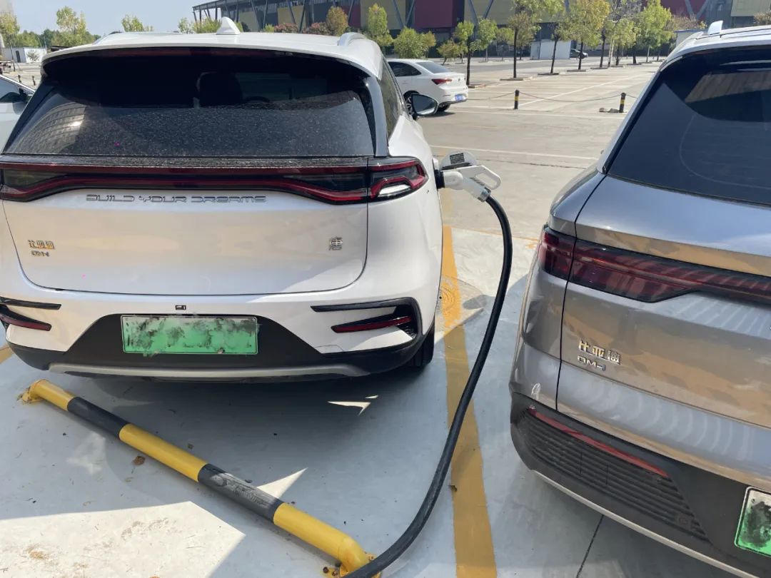 中秋國慶小長假的服務區“搶樁大戰”(圖9) 圖片