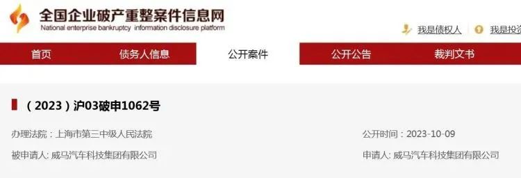 創始人沈暉成功出海，威馬汽車卻沒出海