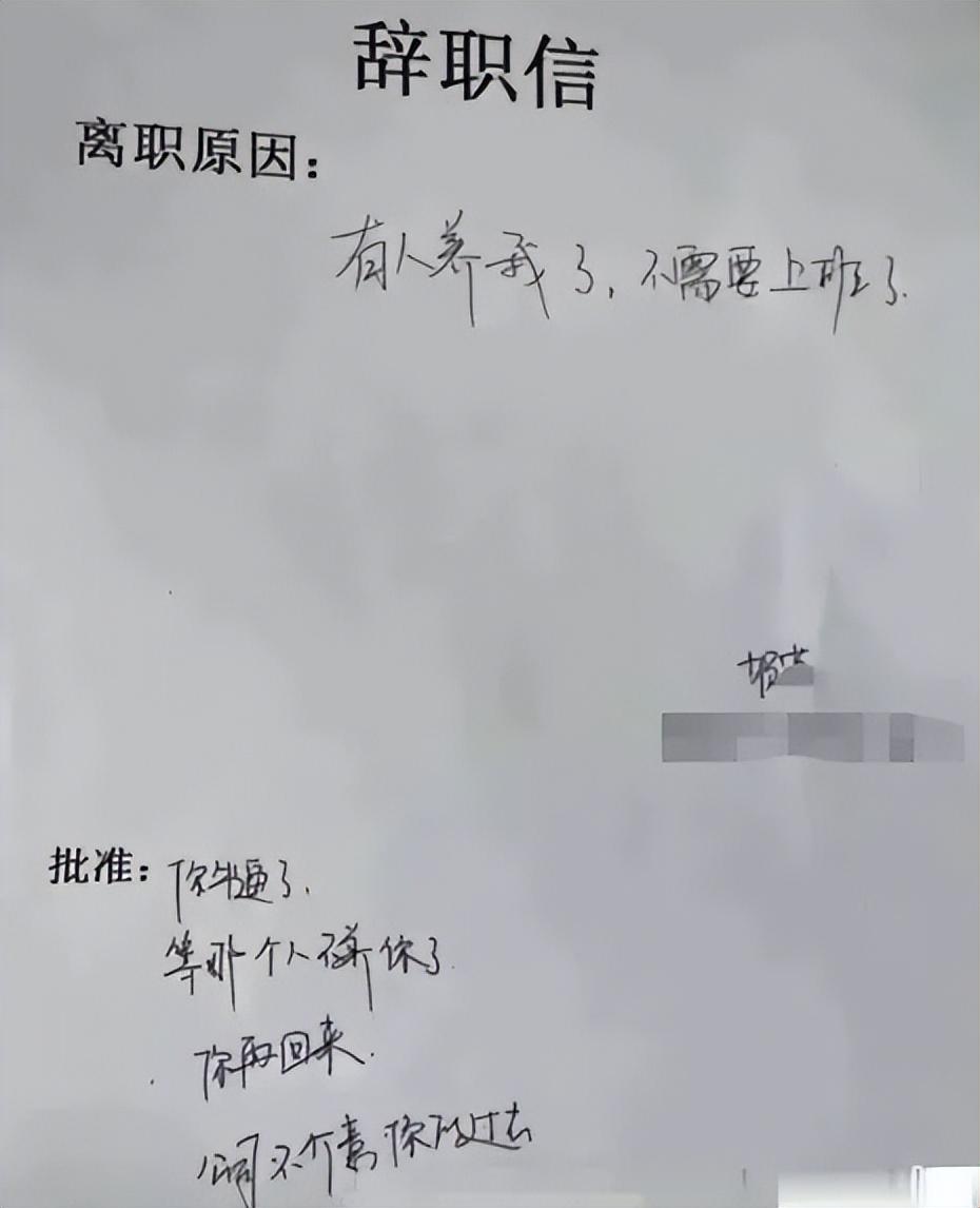 “有人養我不上班了”，00后囂張辭職信走紅，老板回復盡顯格局(圖5)