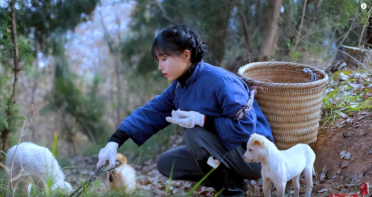 李子柒停更一年仍有收益，她的“消失”，是網紅圈的損失和悲哀(圖13)