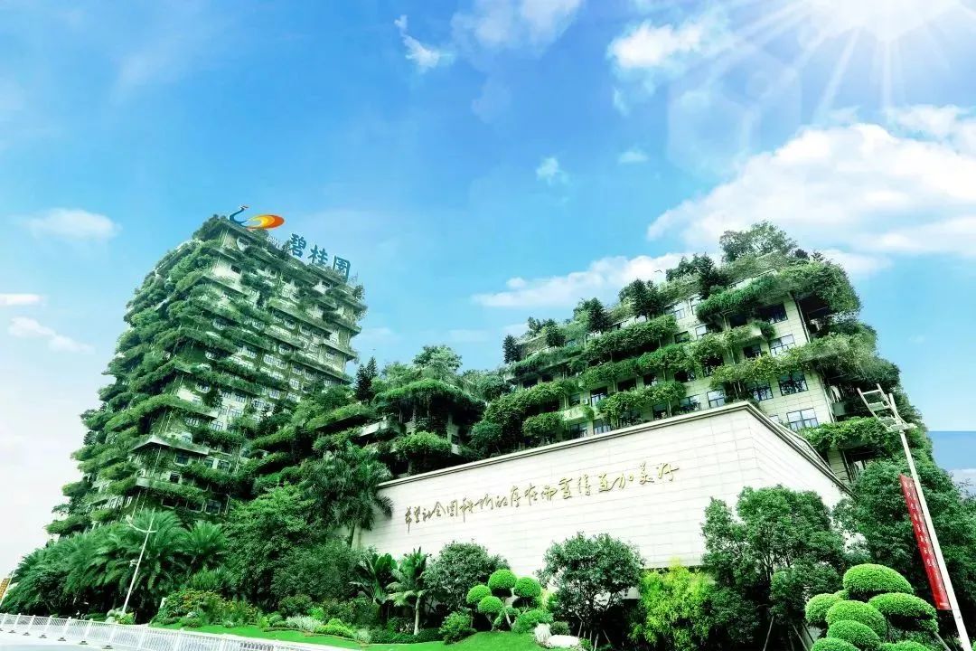 碧桂園預告可能要違約,要成為第二個恒大?(圖4) 圖片