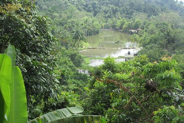 呀諾達(dá)雨林游玩線路 呀諾達(dá)雨林游玩線路