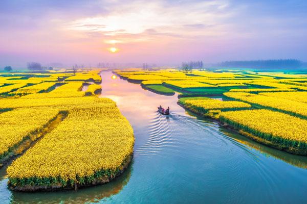 2024興化千垛景區最新開放時間 2024興化千垛景區最新開放時間