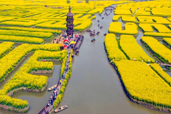 2024興化千垛景區最新開放時間 2024興化千垛景區最新開放時間