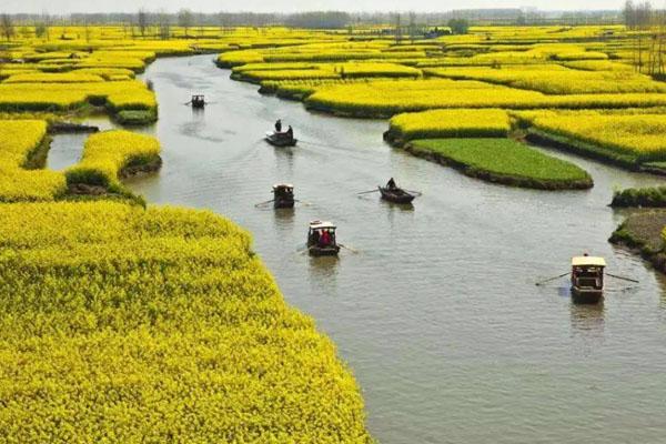 2024興化千垛景區最新開放時間 2024興化千垛景區最新開放時間