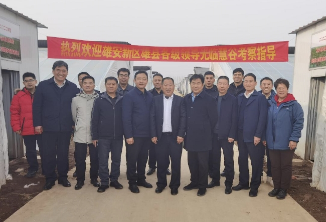 凝心鑄魂擔使命――歡迎雄安新區(qū)雄縣領導團到慧谷農(nóng)業(yè)考察指導(圖4)