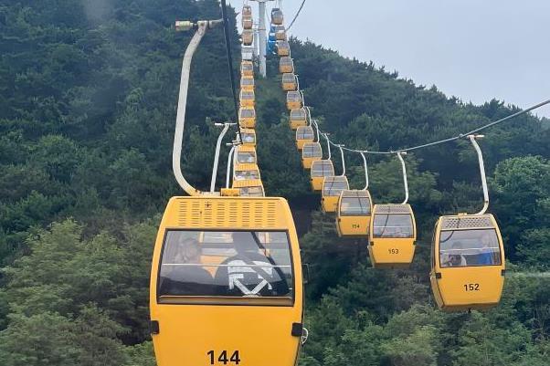 大連森林動物園門票免費政策 大連森林動物園門票免費政策