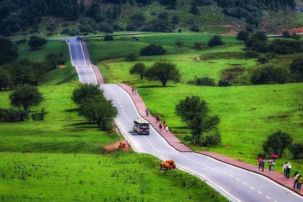 仙女山森林公園自駕攻略 仙女山森林公園自駕攻略
