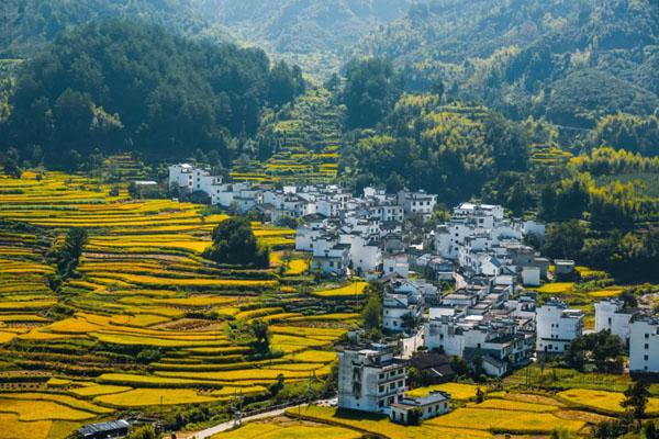 婺源篁嶺一日游最佳路線攻略 婺源篁嶺一日游最佳路線攻略