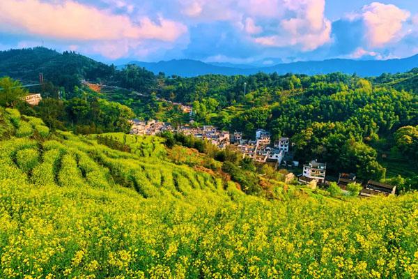 婺源篁嶺一日游最佳路線攻略 婺源篁嶺一日游最佳路線攻略