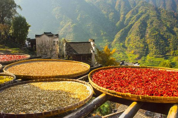 婺源篁嶺一日游最佳路線攻略 婺源篁嶺一日游最佳路線攻略