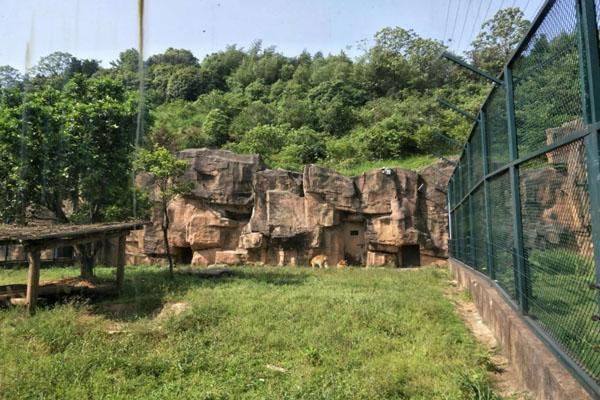長沙生態動物園游玩攻略 一日游最佳路線 長沙生態動物園游玩攻略 一日游最佳路線