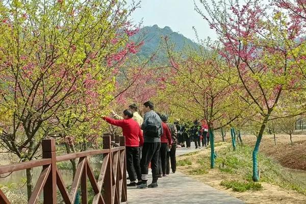 2024湘潭櫻花園門票價格 附優惠政策 2024湘潭櫻花園門票價格 附優惠政策