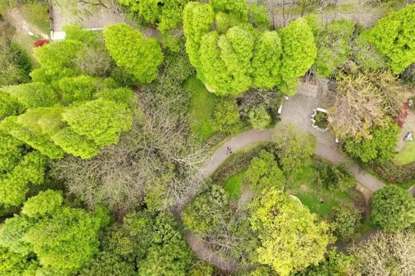 揚州茱萸灣一日游攻略 揚州茱萸灣一日游攻略