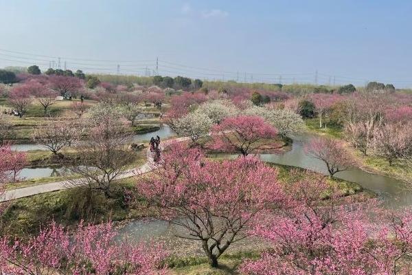 花開(kāi)海上生態(tài)園門(mén)票價(jià)格2024