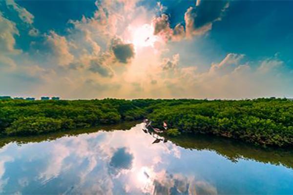 2024富力紅樹灣濕地公園門票優惠政策 2024富力紅樹灣濕地公園門票優惠政策