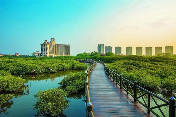 2024富力紅樹灣濕地公園門票優惠政策 2024富力紅樹灣濕地公園門票優惠政策