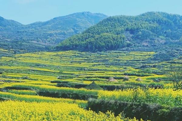 覆卮山一日游最佳路線 覆卮山一日游最佳路線