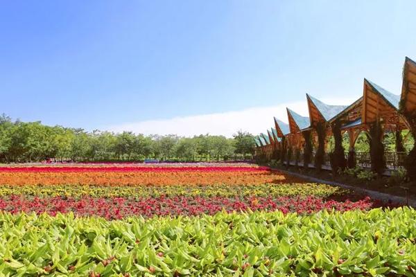 2024丹櫻生態園門票價格 2024丹櫻生態園門票價格