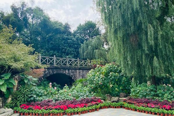 2024成都植物園門票優惠政策 2024成都植物園門票優惠政策