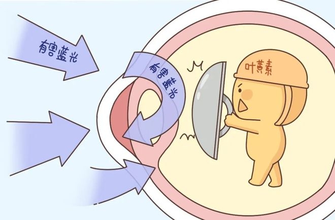 葉黃素對眼睛真的有效嗎？一文讀懂它的功效與作用(圖1)