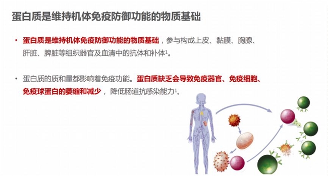 選購蛋白粉不再迷茫：蛋白粉哪個(gè)牌子好，一文告訴你補(bǔ)充蛋白質(zhì)提高免疫力吃什么(圖1)
