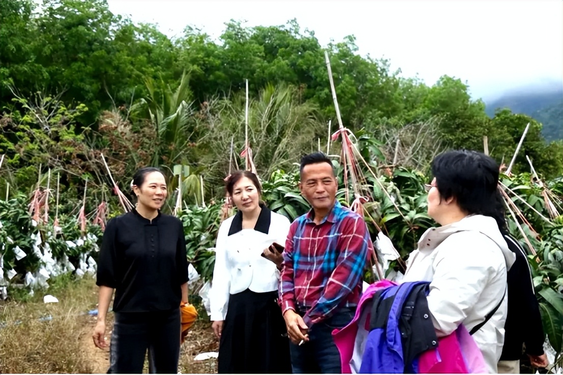 山海聯(lián)動！晉瓊康養(yǎng)新生態(tài)鏈，“健康家園”在海南！(圖10)