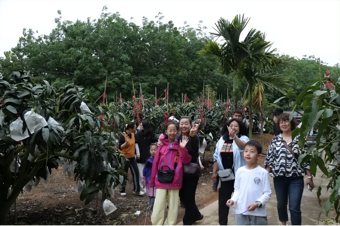 山海聯(lián)動！晉瓊康養(yǎng)新生態(tài)鏈，“健康家園”在海南！(圖19)