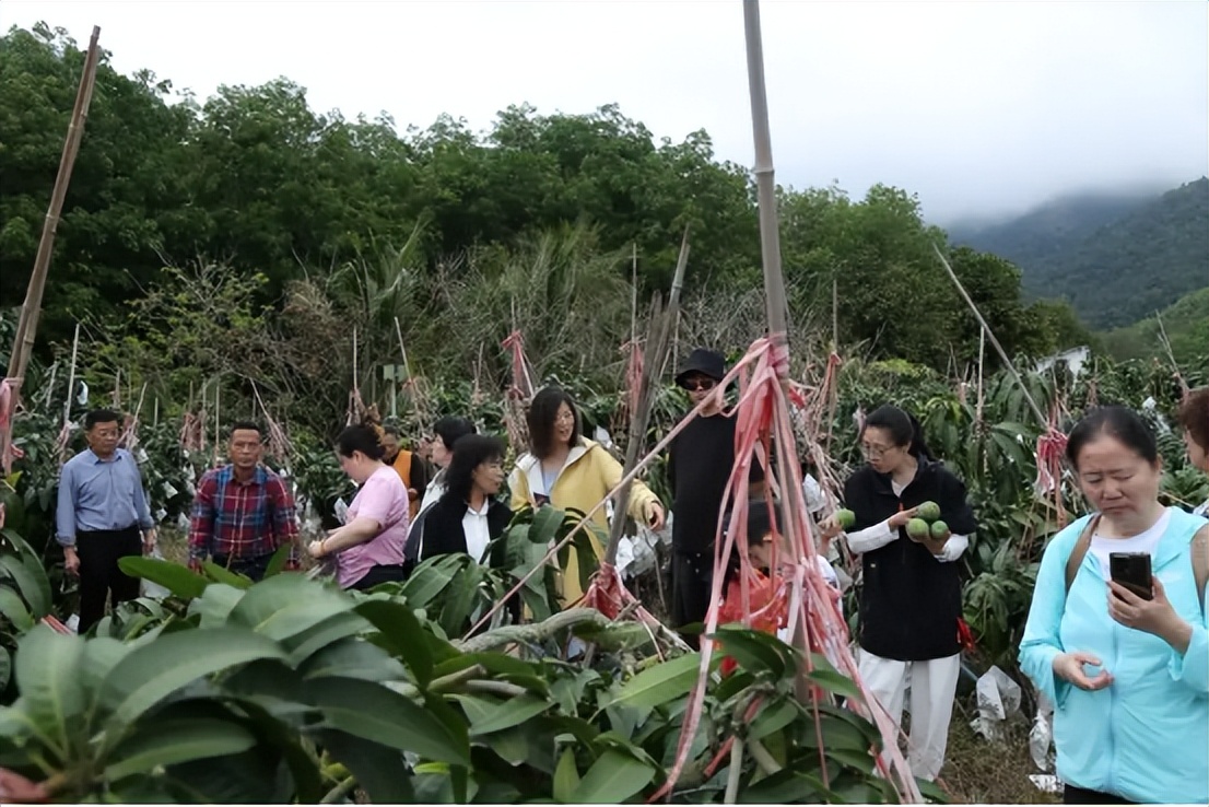山海聯(lián)動！晉瓊康養(yǎng)新生態(tài)鏈，“健康家園”在海南！(圖24)