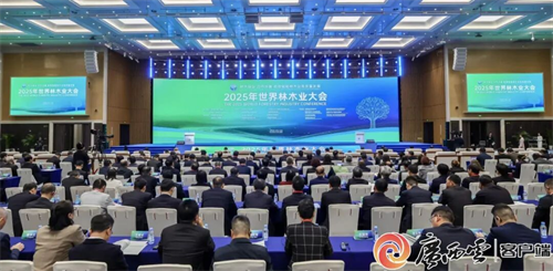 2025年世界林木業(yè)大會暨2025年廣西國際林產(chǎn)品及木制品展盛大舉辦(圖1) 圖片1.png