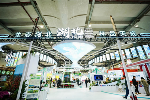 2025年世界林木業(yè)大會暨2025年廣西國際林產(chǎn)品及木制品展盛大舉辦(圖10) 圖片11.png