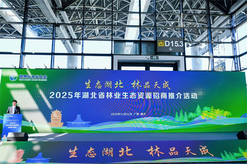 2025年世界林木業(yè)大會暨2025年廣西國際林產(chǎn)品及木制品展盛大舉辦(圖19) 圖片19.png