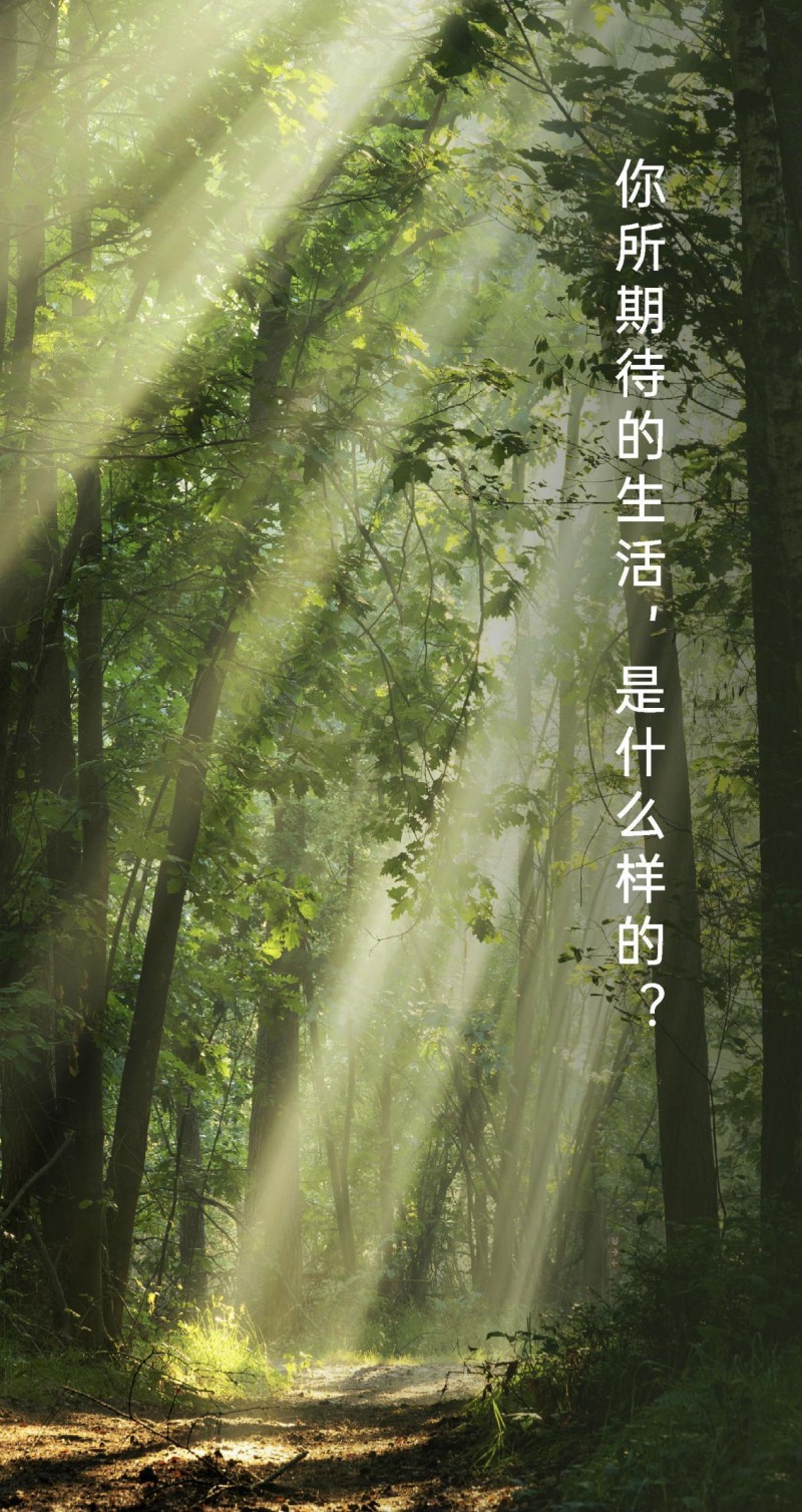 煥新啟程，探索無界?醫護之家品牌形象全面升級
