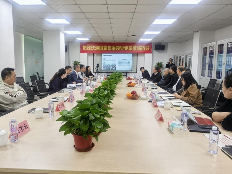 聚焦關鍵技術創新 專家領導赴廣東騰瓏科技考察調研